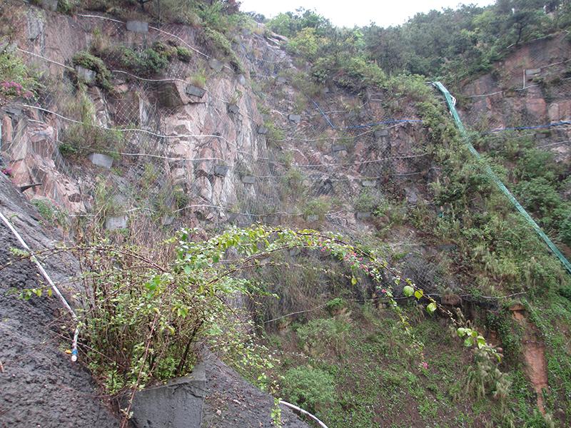 邊坡防護網 邊坡防護網