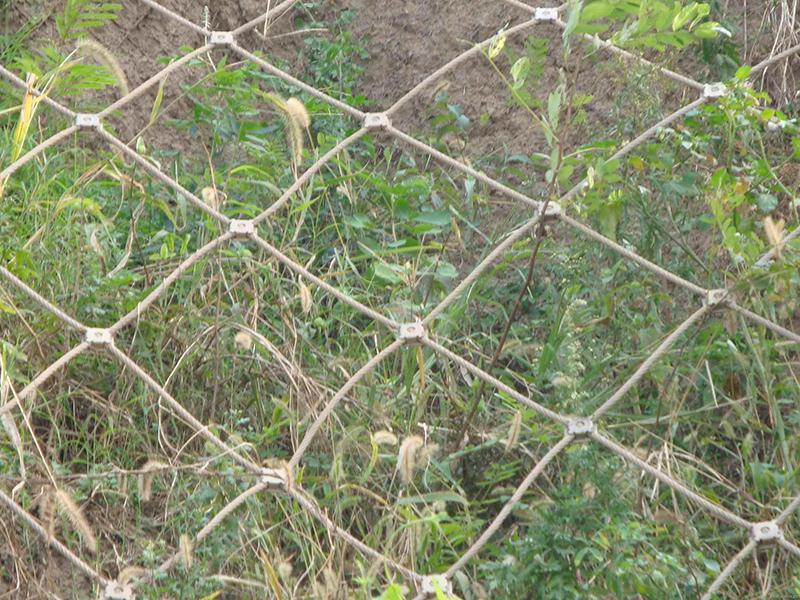 GAP1型主動防護網