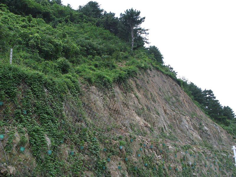 柔性主動(dòng)防護(hù)網(wǎng) 柔性主動(dòng)防護(hù)網(wǎng)